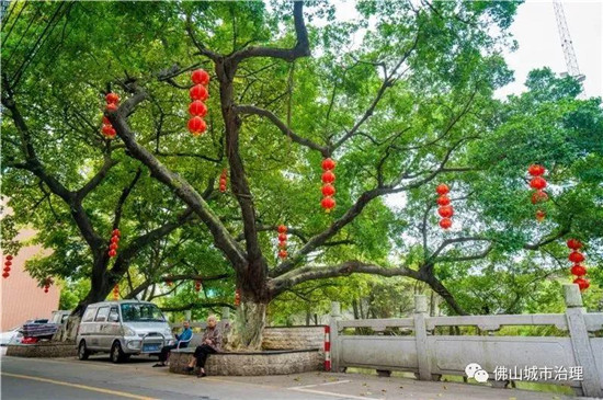 千年水乡，古韵绵长！佛山最美古村落的炼成记